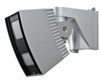 8001079_600.jpeg