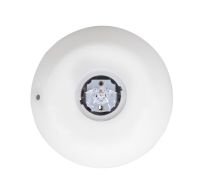 CHQ-WB/WHT/WL