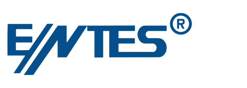 Entes logo