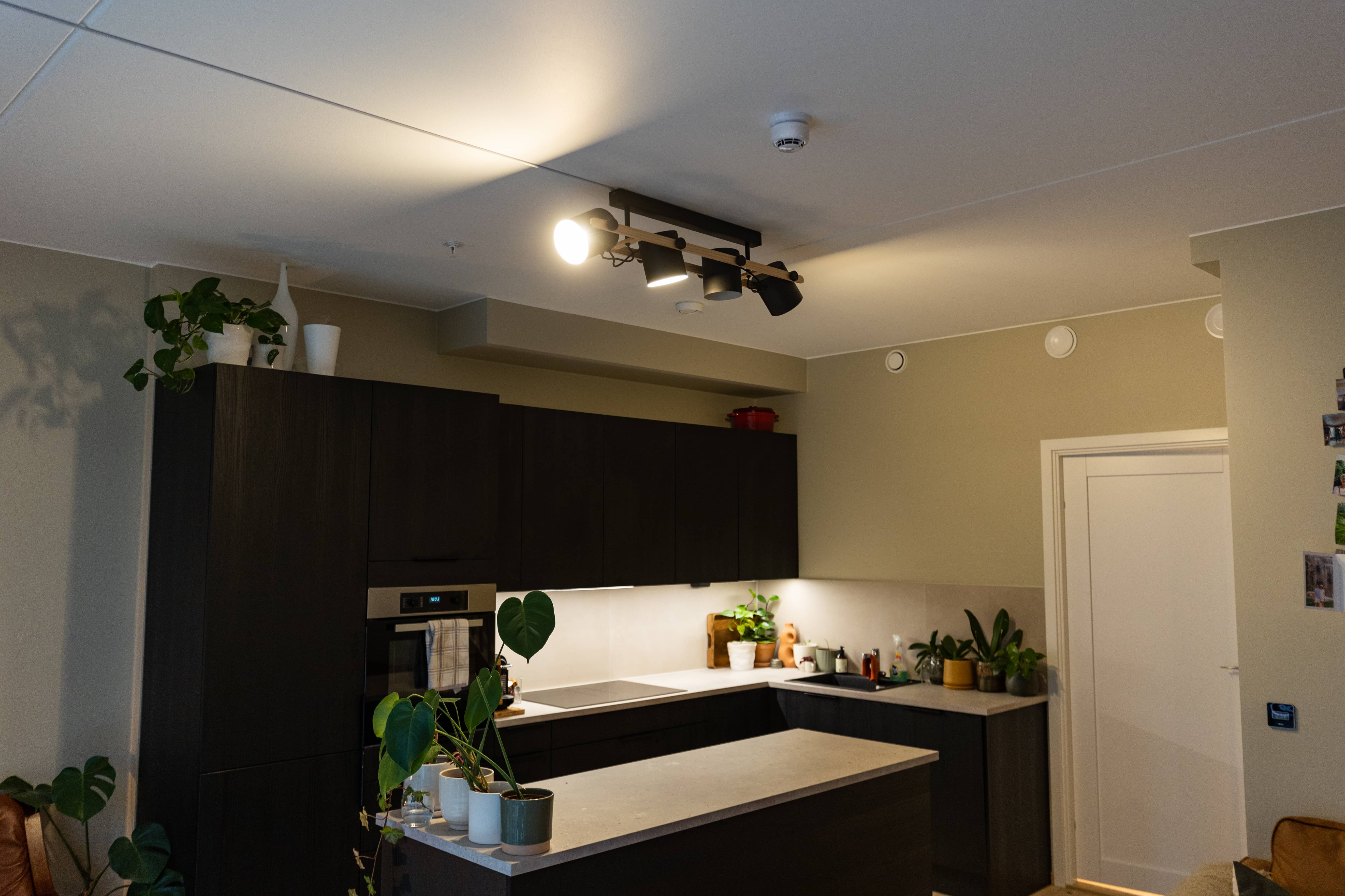 Svanegangen inside apartment